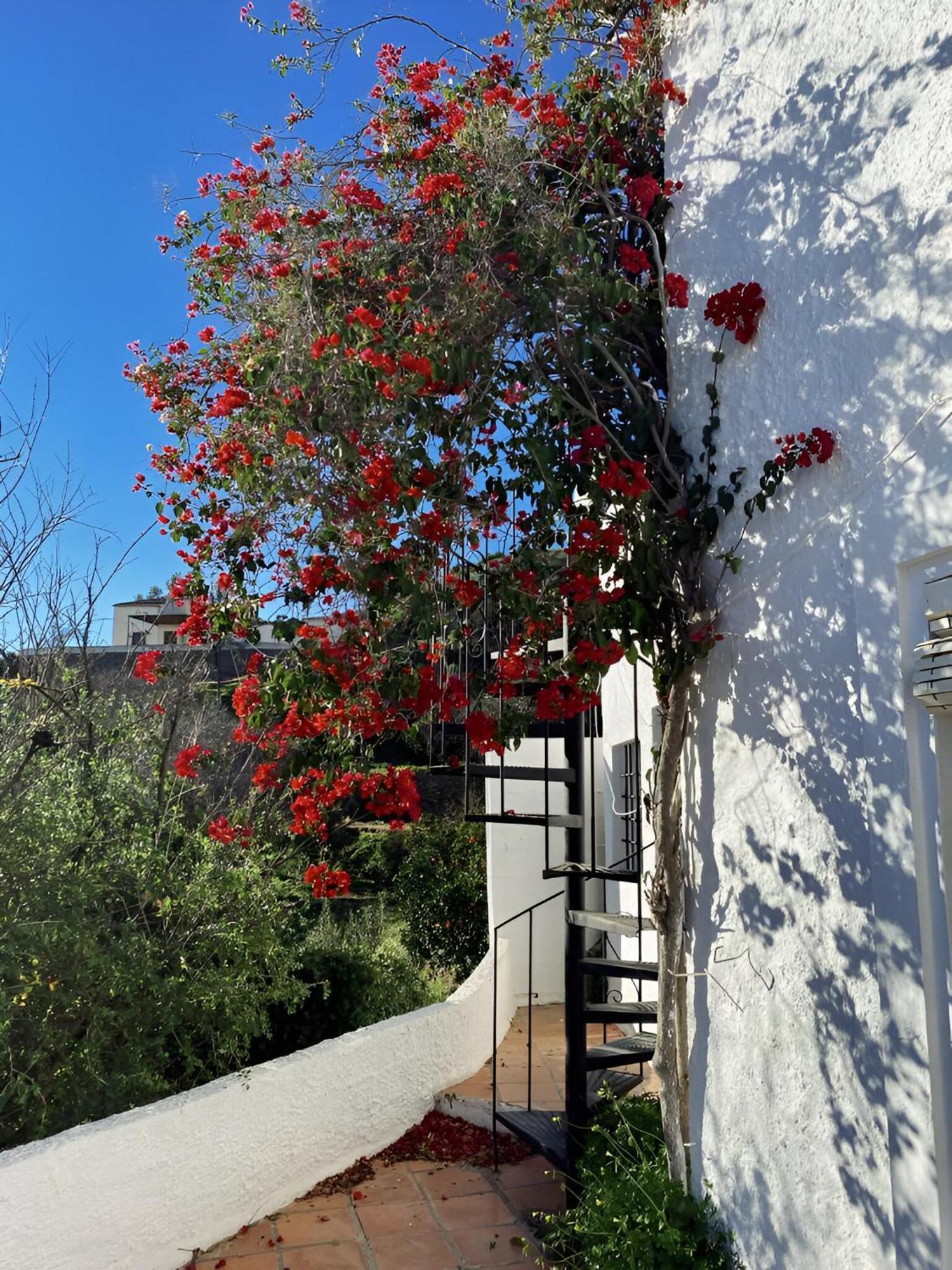 Cortijo De La Fuente Con Vistas Impresionantes Y Playas A 20 Minutos Villa Bédar Eksteriør bilde